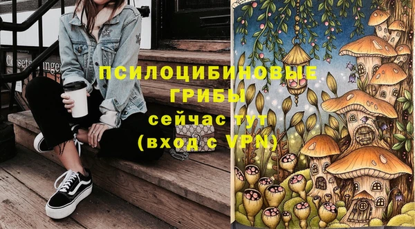 марки nbome Богородицк