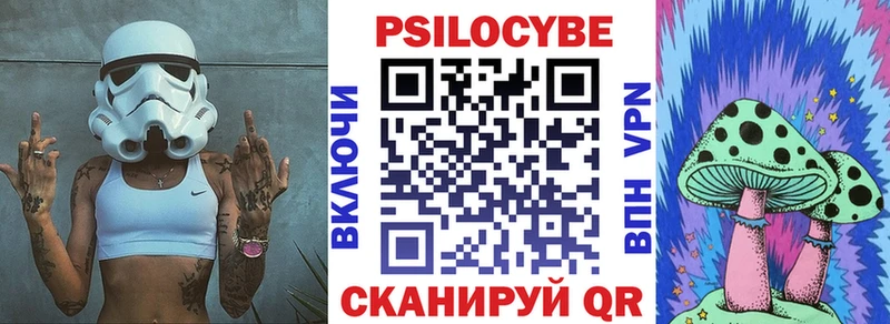 наркота  Копейск  Псилоцибиновые грибы Psilocybe 