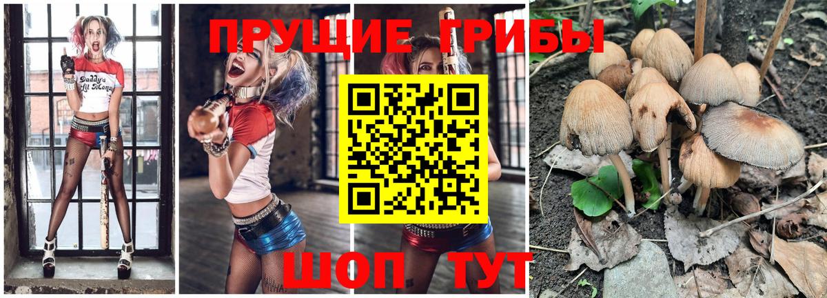 Псилоцибиновые грибы Magic Shrooms Копейск