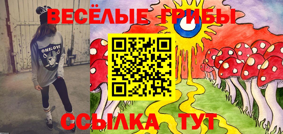 Галлюциногенные грибы Psilocybe  Вход с VPN  Копейск 
